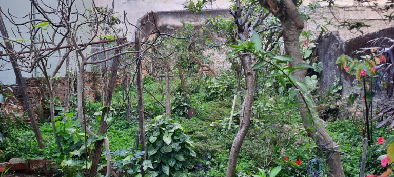 Imagem Sobrado com 3 Quartos à Venda, 267 m² em Vila Guarani (z Sul) - São Paulo