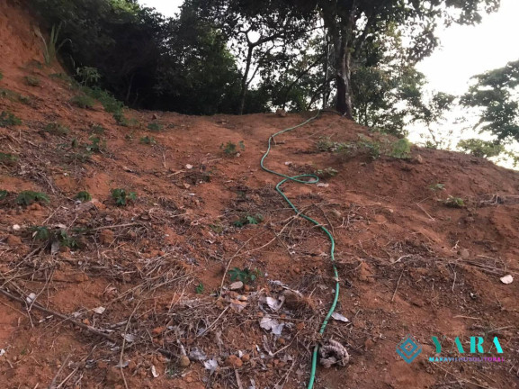 Imagem Terreno à Venda, 4.275 m² em Praia Grande - Ilhabela