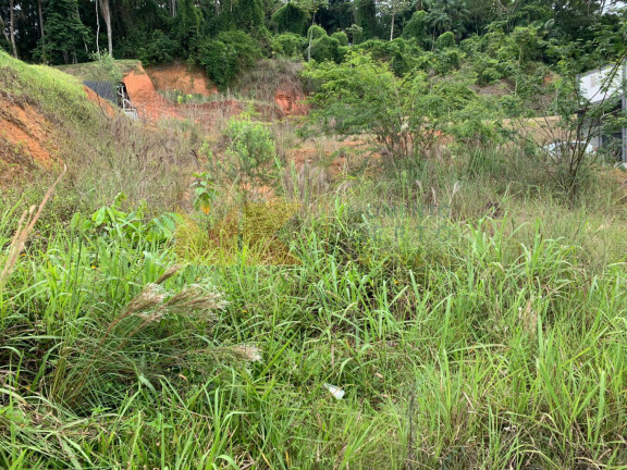 Imagem Imóvel à Venda, 1.338 m² em Salto - Blumenau