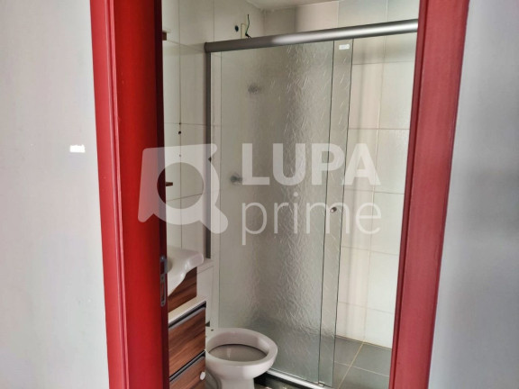 Imagem Apartamento com 3 Quartos à Venda, 59 m² em Vila Amália  - São Paulo