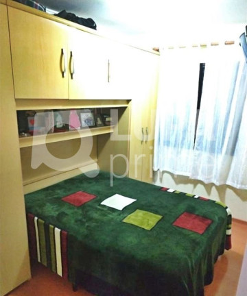 Imagem Apartamento com 3 Quartos à Venda, 64 m² em Vila Amália  - São Paulo