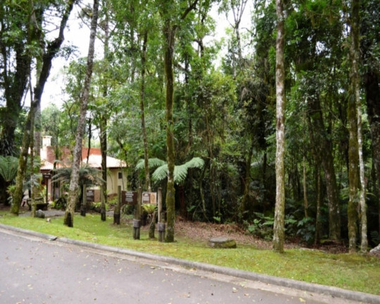 Imagem Imóvel à Venda, 1.657 m² em Vila Moura - Gramado