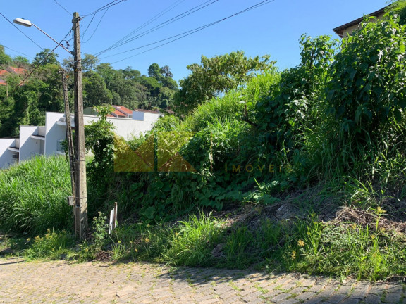 Imagem Imóvel à Venda, 450 m² em Escola Agrícola - Blumenau