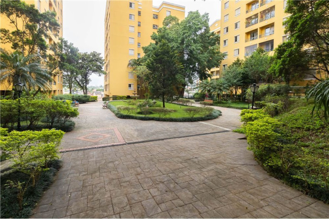 Imagem Apartamento com 3 Quartos à Venda, 65 m² em Vila Sônia - São Paulo