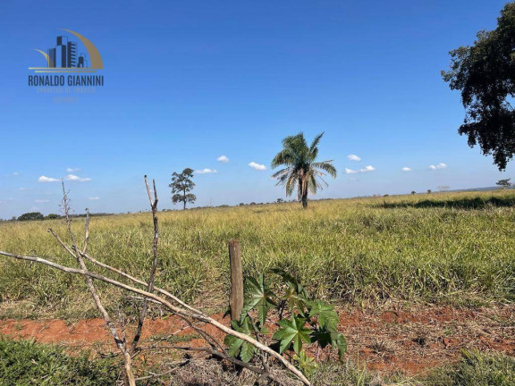 Imagem Fazenda à Venda, 12.490.000 m² em Vila Maria - Santa Fé Do Sul