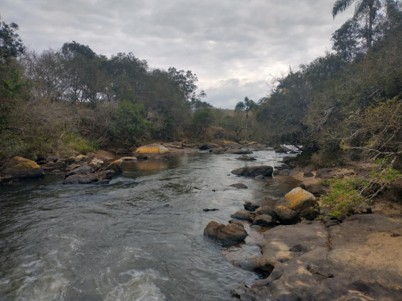 Imagem Chácara à Venda, 20.000 m² em Rio Pardo - Caldas