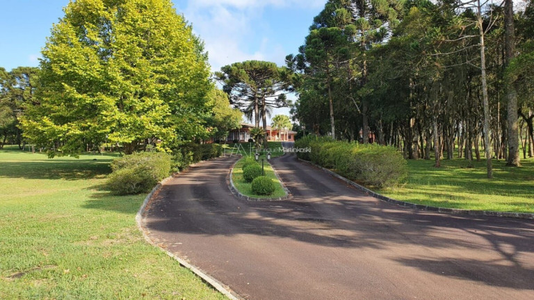 Imagem Fazenda à Venda, 4.500 m² em Centro - Campina Grande Do Sul