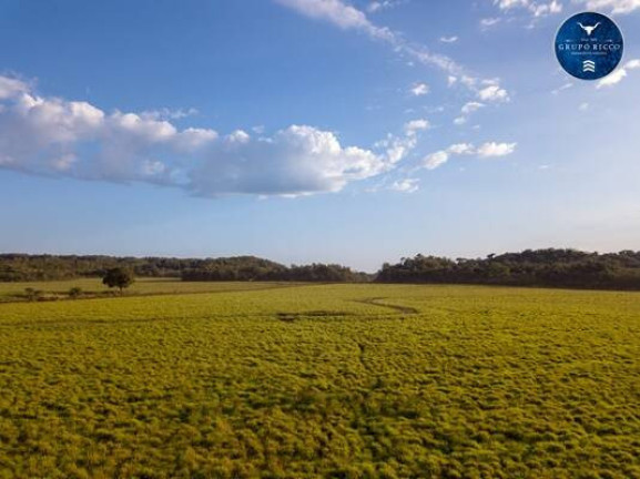 Imagem Fazenda à Venda, 18 m² em Zona Rural - Praia Norte