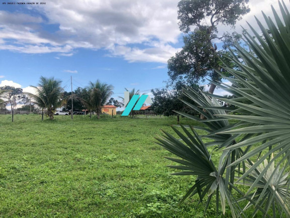 Imagem Fazenda à Venda, 480 m² em Zona Rural - Coração De Jesus