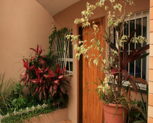 Casa com 3 Quartos à Venda, 108 m² em Cambuci - São Paulo