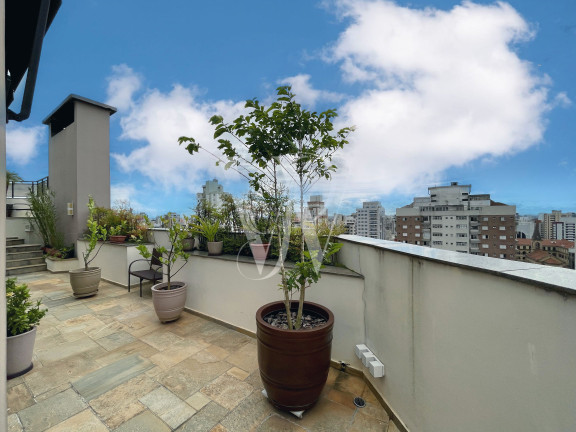 Imagem Apartamento com 4 Quartos à Venda, 540 m² em Vila Mariana - São Paulo
