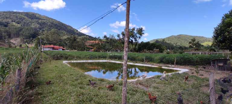 Imagem Imóvel com 4 Quartos à Venda, 7.000 m² em Loro - Major Gercino