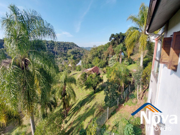 Imagem Fazenda à Venda,  em Centro - Nova Petrópolis