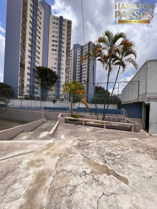 Imagem Apartamento com 3 Quartos à Venda, 64 m² em Sítio Pinheirinho - São Paulo