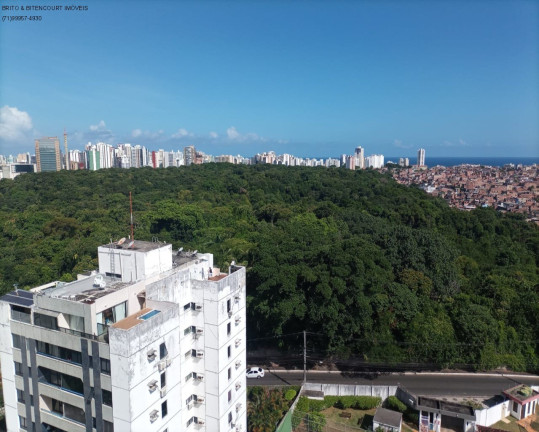 Imagem Imóvel com 3 Quartos à Venda, 190 m² em Cidade Jardim - Salvador