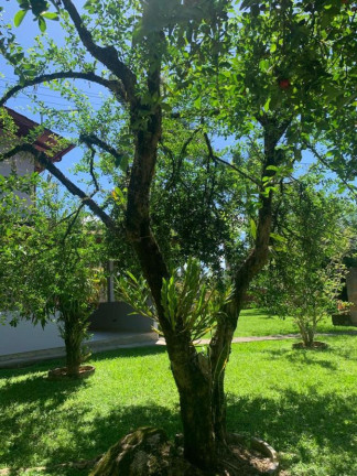 Imagem Casa com 3 Quartos à Venda, 200 m² em Aririu - Palhoça
