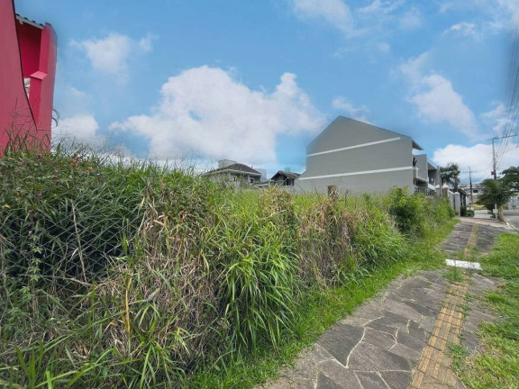 Imagem Terreno à Venda, 300 m² em Moinhos De Vento - Canoas