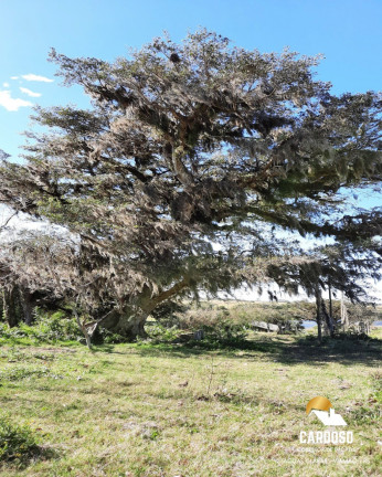 Imagem Imóvel com 1 Quarto à Venda, 1 m² em águas Claras - Viamão