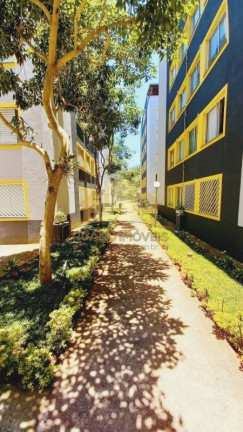 Apartamento com 3 Quartos à Venda, 63 m² em Vila Carmosina - São Paulo