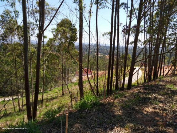 Imagem Terreno à Venda, 125 m² em Di Napoli - Cotia