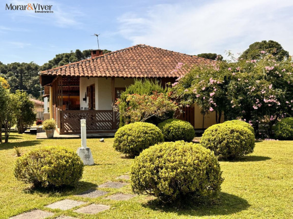 Imagem Chácara com 4 Quartos à Venda, 7.700 m² em Loteamento Chácara Chantecler - Piraquara