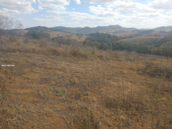 Imagem Terreno à Venda, 500 m² em Coroado - Caldas