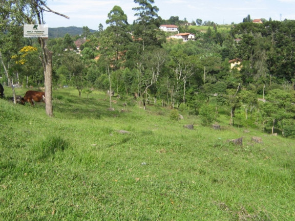 Imagem Fazenda à Venda, 11.280 m² em Alto Da Serra - São Roque