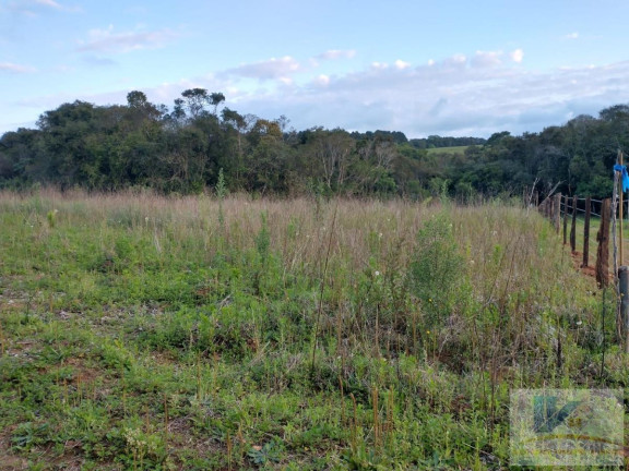 Imagem Terreno à Venda, 43.000 m² em Contenda - São José Dos Pinhais