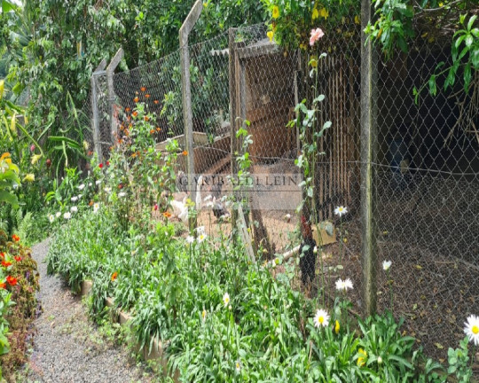 Imagem Imóvel com 3 Quartos à Venda,  em Parque Flamboyant - Amparo