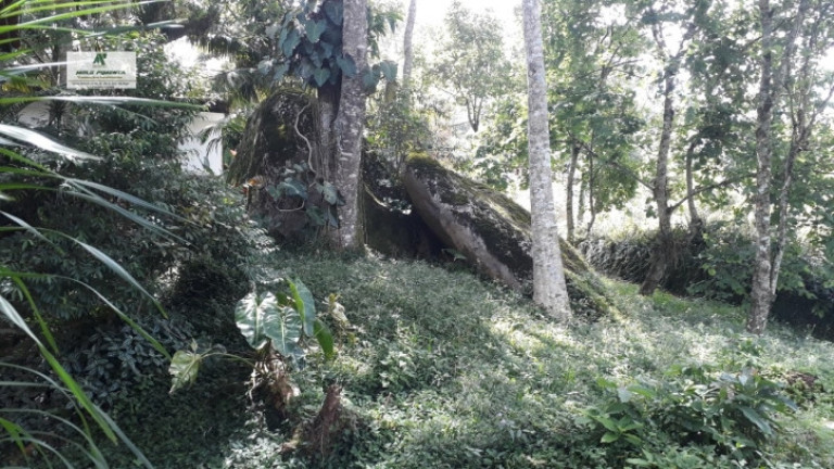 Imagem Chácara com 4 Quartos à Venda, 5.000 m² em Alto Da Serra - São Roque