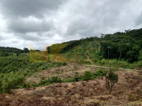 Imagem Fazenda à Venda, 64.288 m² em Barra Avencal - Rio Dos Cedros