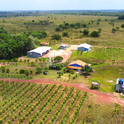 Imagem Imóvel com 3 Quartos à Venda, 9.600.000 m² em Centro  - Tomé-açú