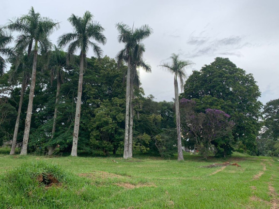 Imagem Terreno à Venda, 3.000 m² em Jardim Das Palmeiras - Bragança Paulista