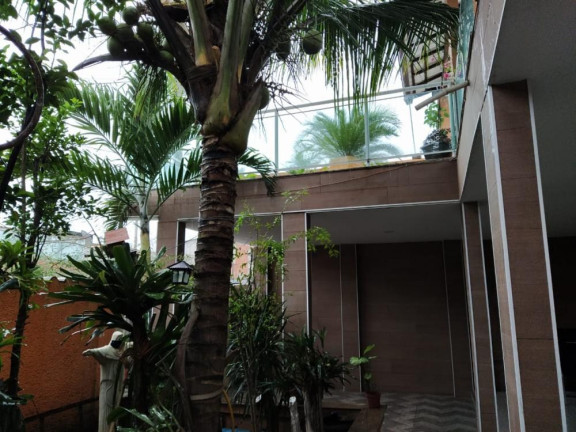 Imagem Imóvel com 3 Quartos para Alugar, 25 m² em Campo Grande - Rio De Janeiro