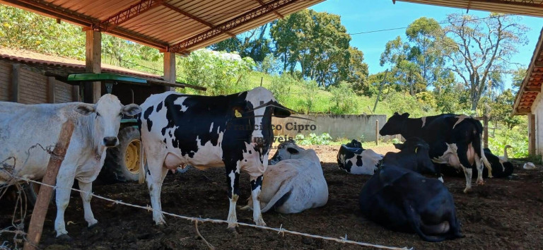 Imagem Imóvel à Venda, 1.600 m² em Campos Novos - Cunha