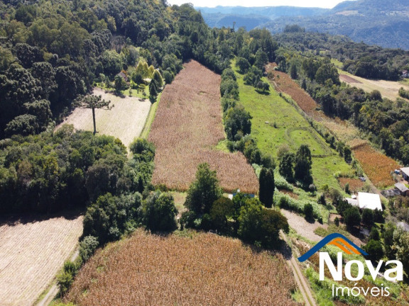 Imagem Imóvel à Venda,  em Linha Araripe - Nova Petrópolis