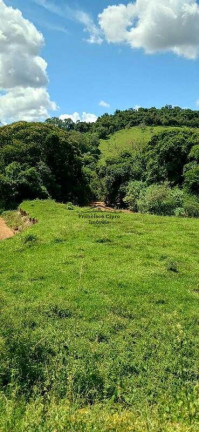 Imagem Imóvel com 1 Quarto à Venda, 121.000 m² em Guaranjanga - Cunha