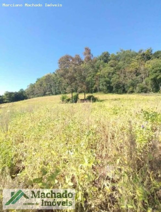 Imagem Terreno à Venda, 48 m² em Rural - Erval Seco