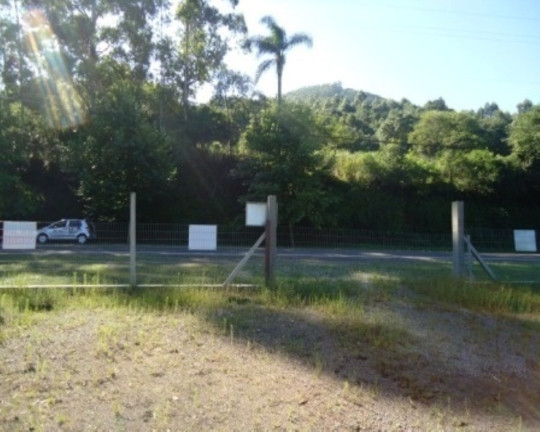 Imagem Terreno à Venda, 2.440 m² em Picada Café - Picada Café