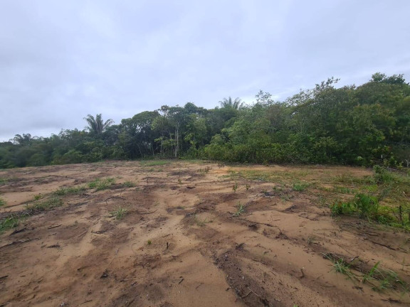 Imagem Terreno à Venda, 11 m² em Ponta Negra - Manaus