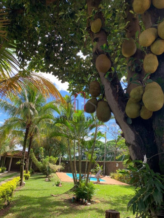 Imagem Chácara com 3 Quartos à Venda, 280 m² em Chácaras De Recreio - 2000 - Hortolândia