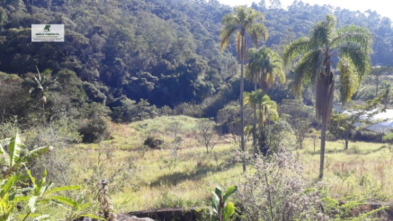 Imagem Terreno à Venda, 1.400 m² em Caete (mailasqui) - São Roque