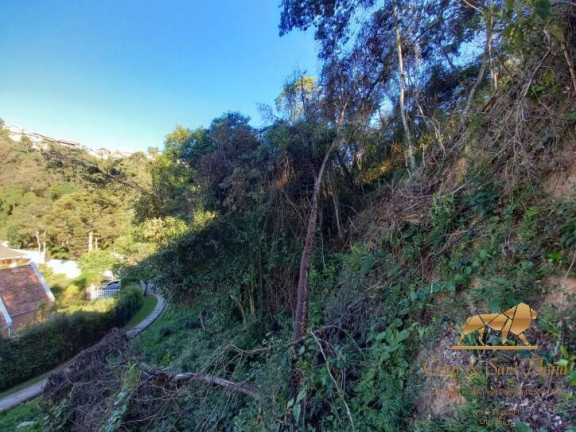 Imagem Terreno à Venda, 729 m² em V Britânia - Campos Do Jordão