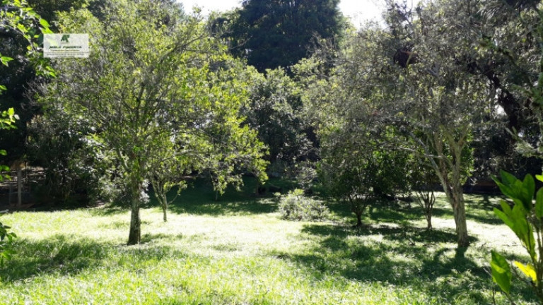 Imagem Chácara com 3 Quartos à Venda, 3.000 m² em Alto Da Serra - São Roque