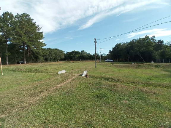 Imagem Chácara com 4 Quartos à Venda, 10.000 m² em Fiuza - Viamão