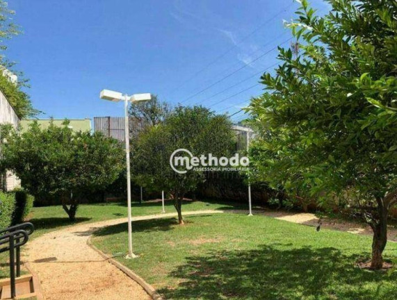 Imagem Apartamento com 2 Quartos à Venda, 80 m² em Cambuí - Campinas