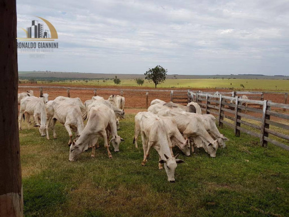 Imagem Fazenda à Venda, 22.022.000 m² em Distrito Industrial - Presidente Prudente