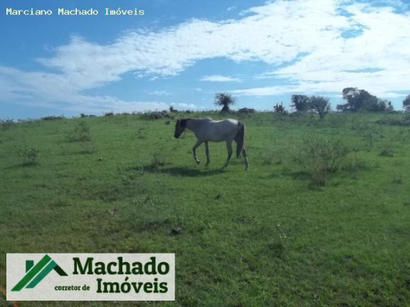 Imagem Imóvel à Venda, 20 m² em Rural - São Sepé