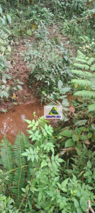 Imagem Fazenda à Venda, 169.400 m² em Ouro Fino - Ouro Fino