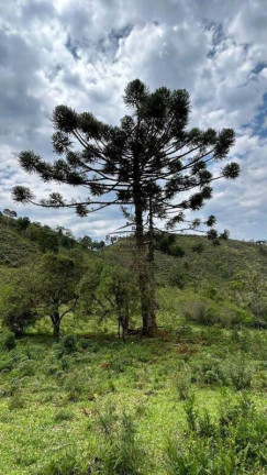 Imagem Imóvel com 2 Quartos à Venda, 23.350 m² em Barra Do Bié - Cunha